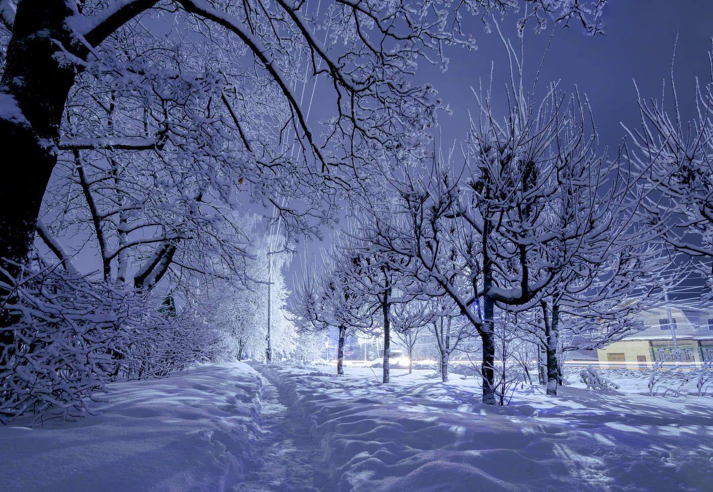 Зимняя сказка