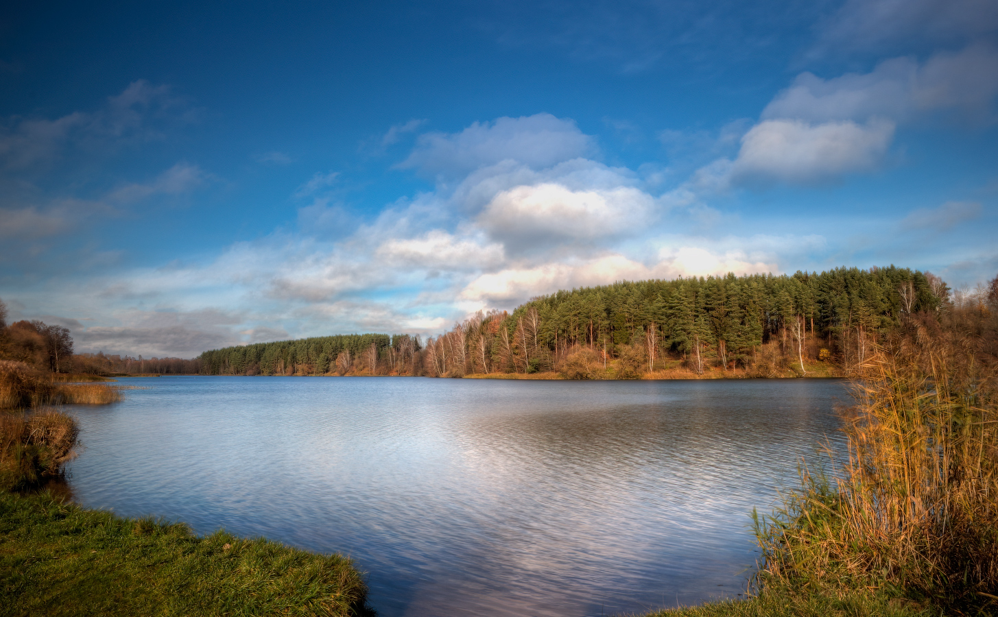 На берегу озера