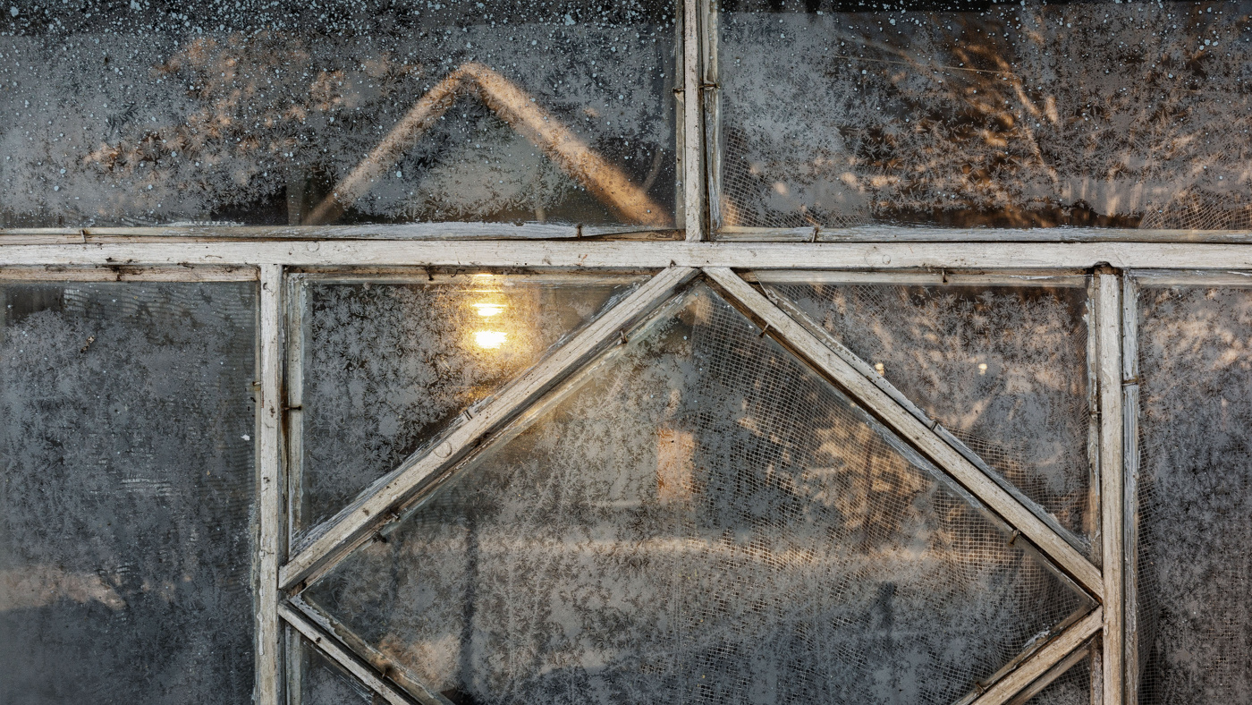 Жизнь вокруг