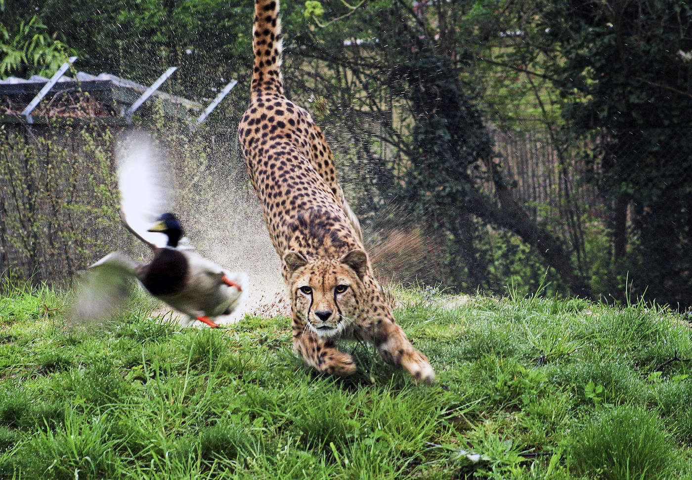 Промахнулся