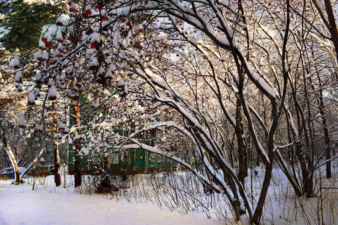 Зимняя палитра