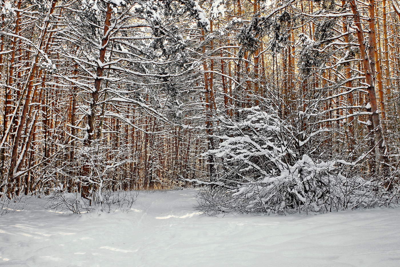 Зимы штрихи