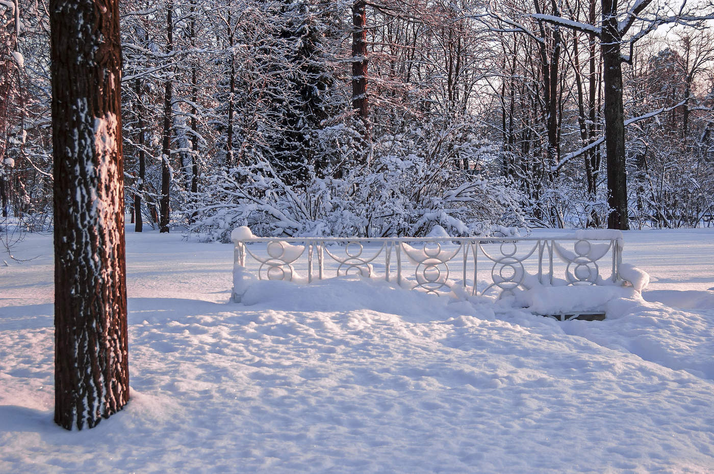 С Рождеством!