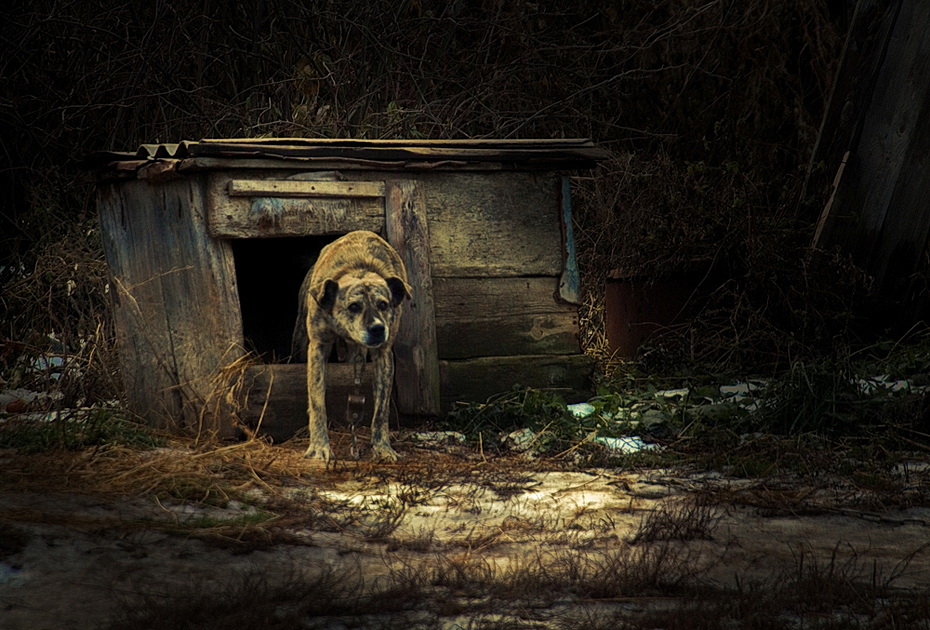 Разбудили....