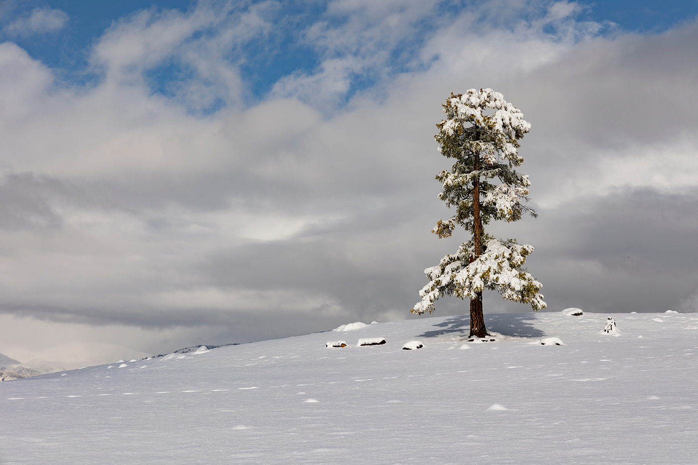 На семи ветрах