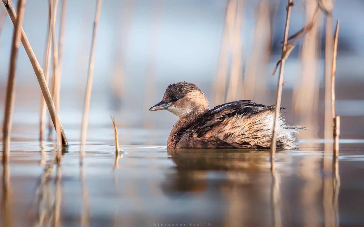 Спрятаться...