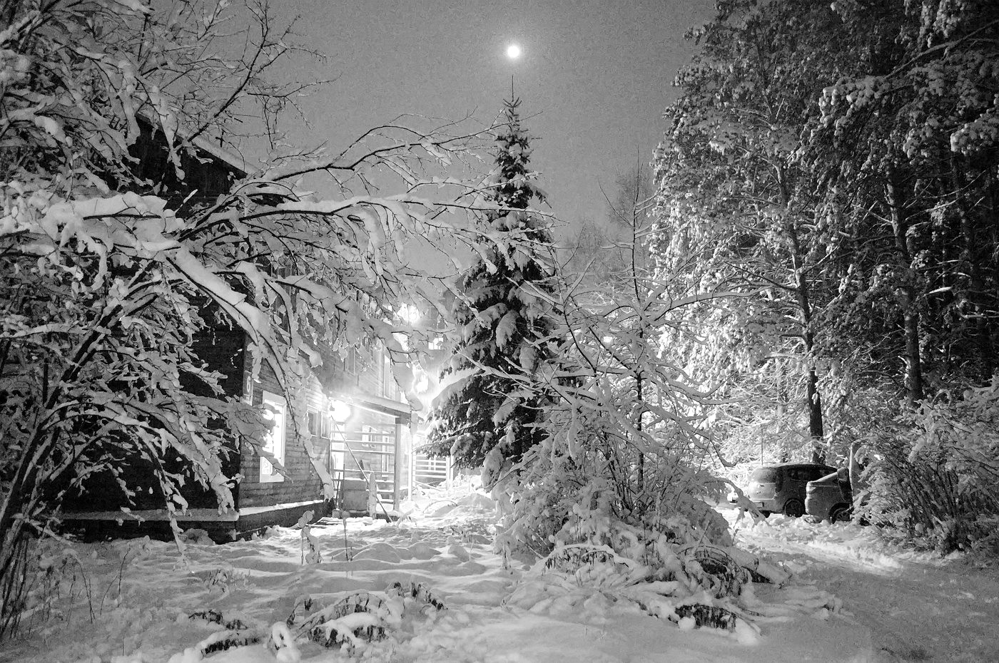 Рождественская звезда