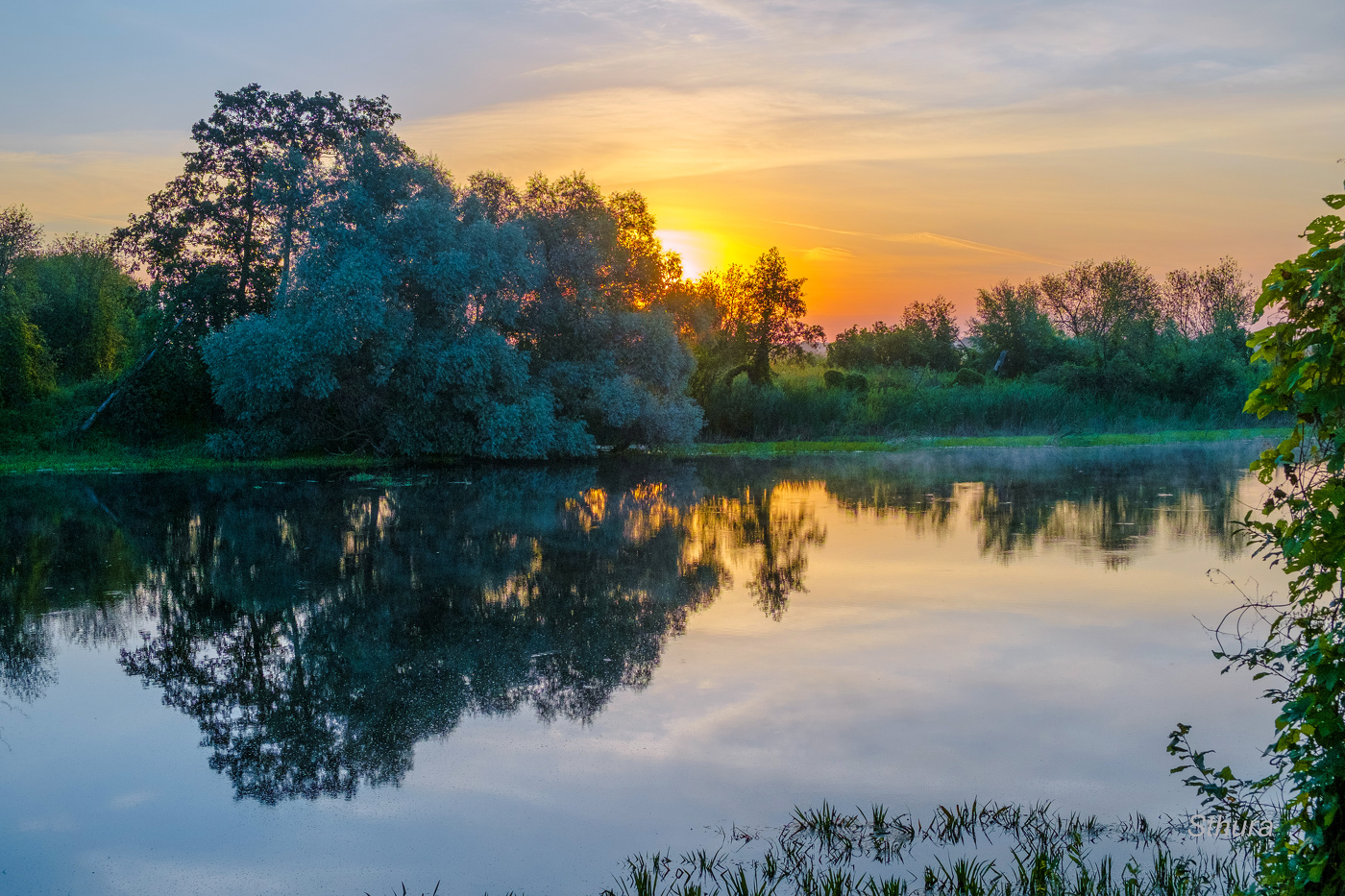 Летнее утро.