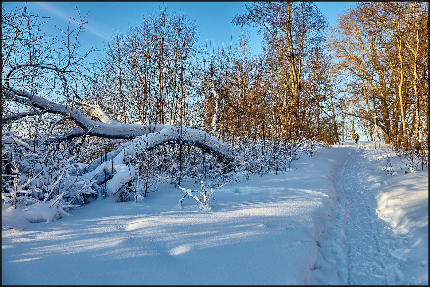 Январь в Архангельске.