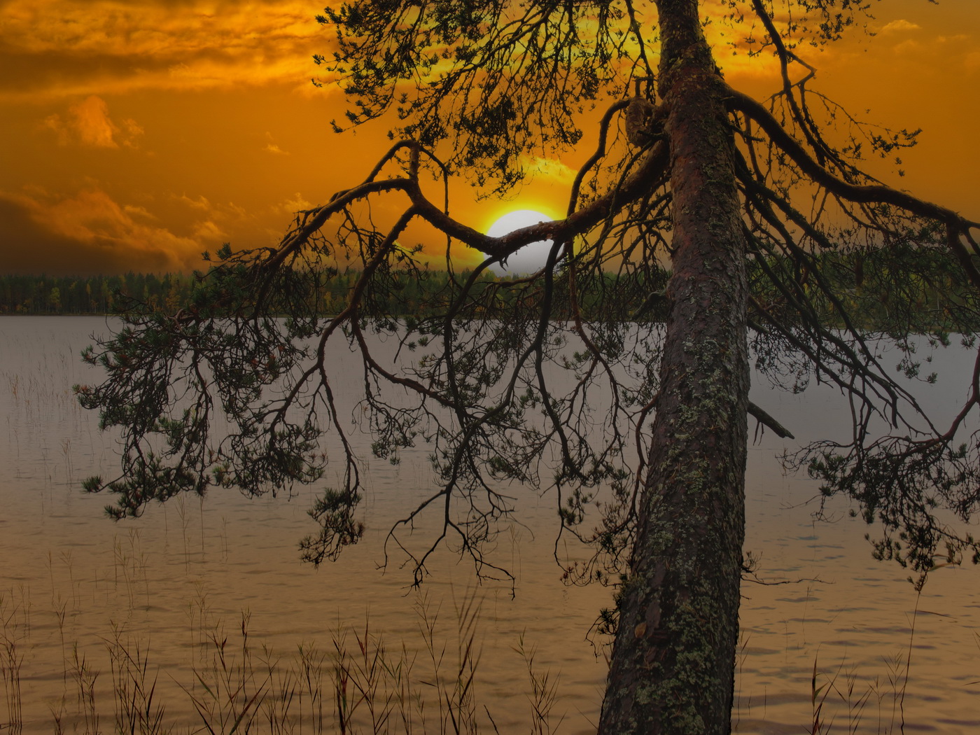 На восходе.