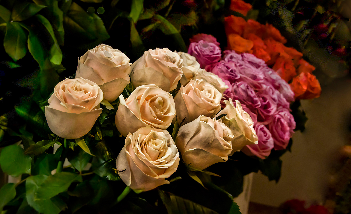 К празднику.