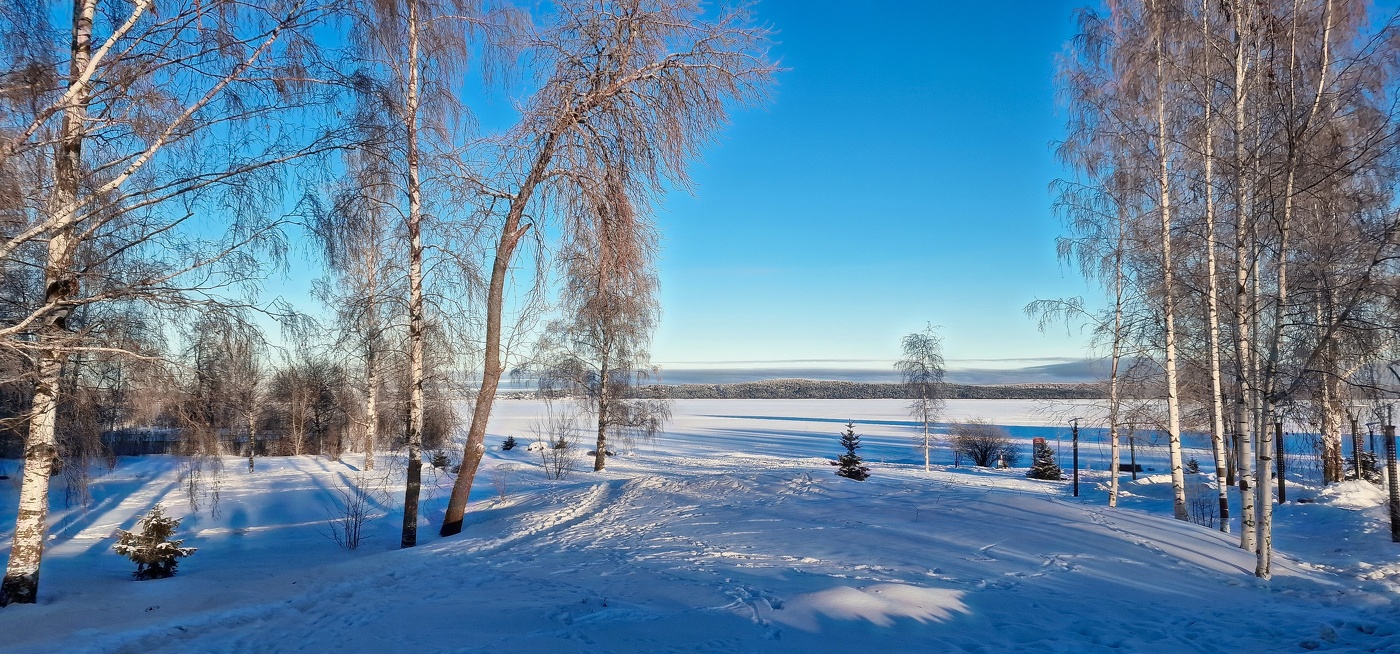 Зимняя зарисовка