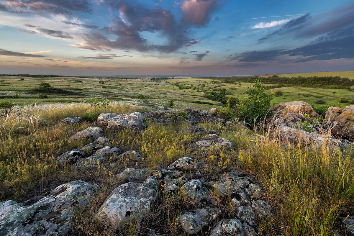 Ковыльный вечер