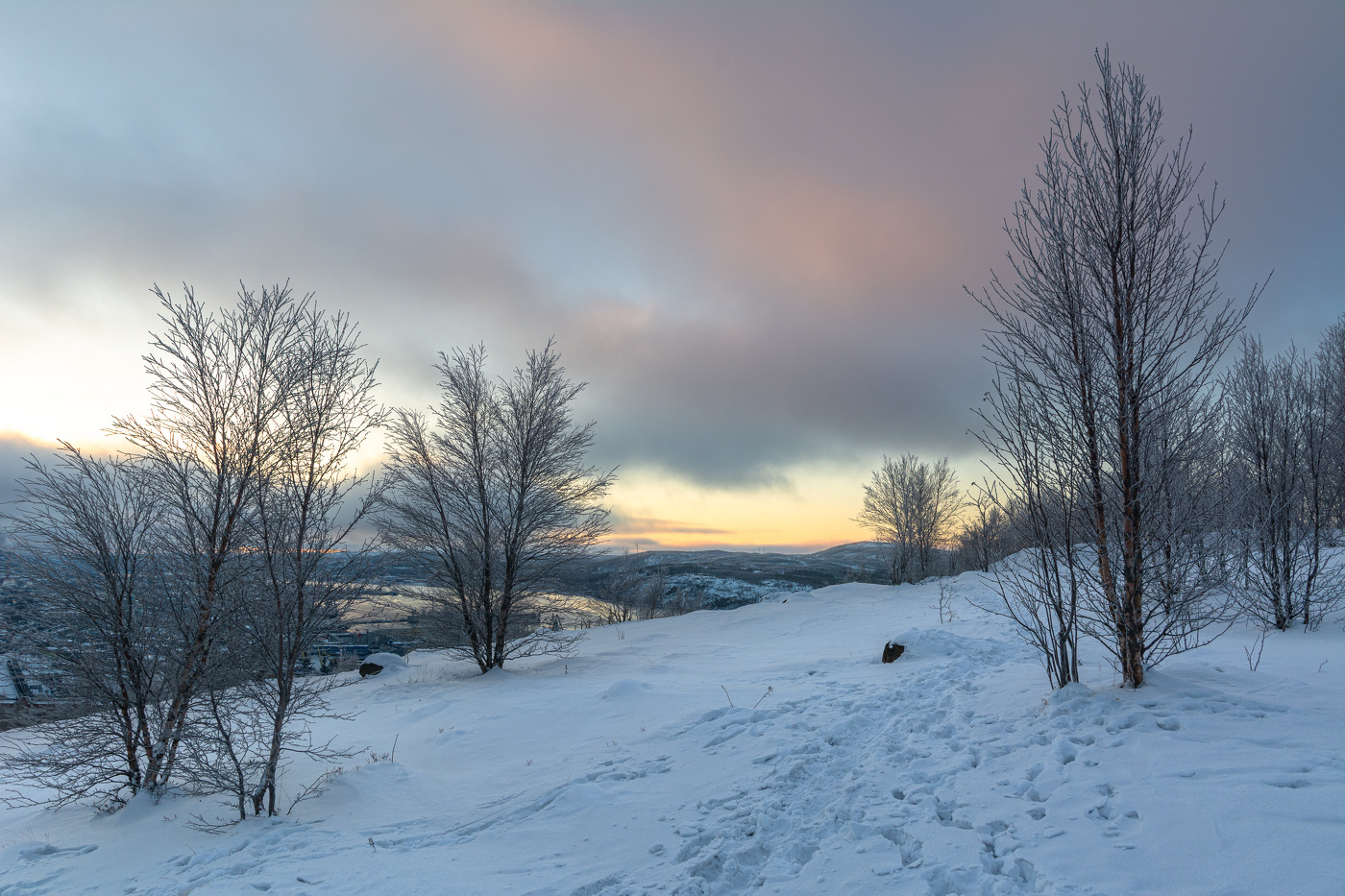 по снежным тропкам