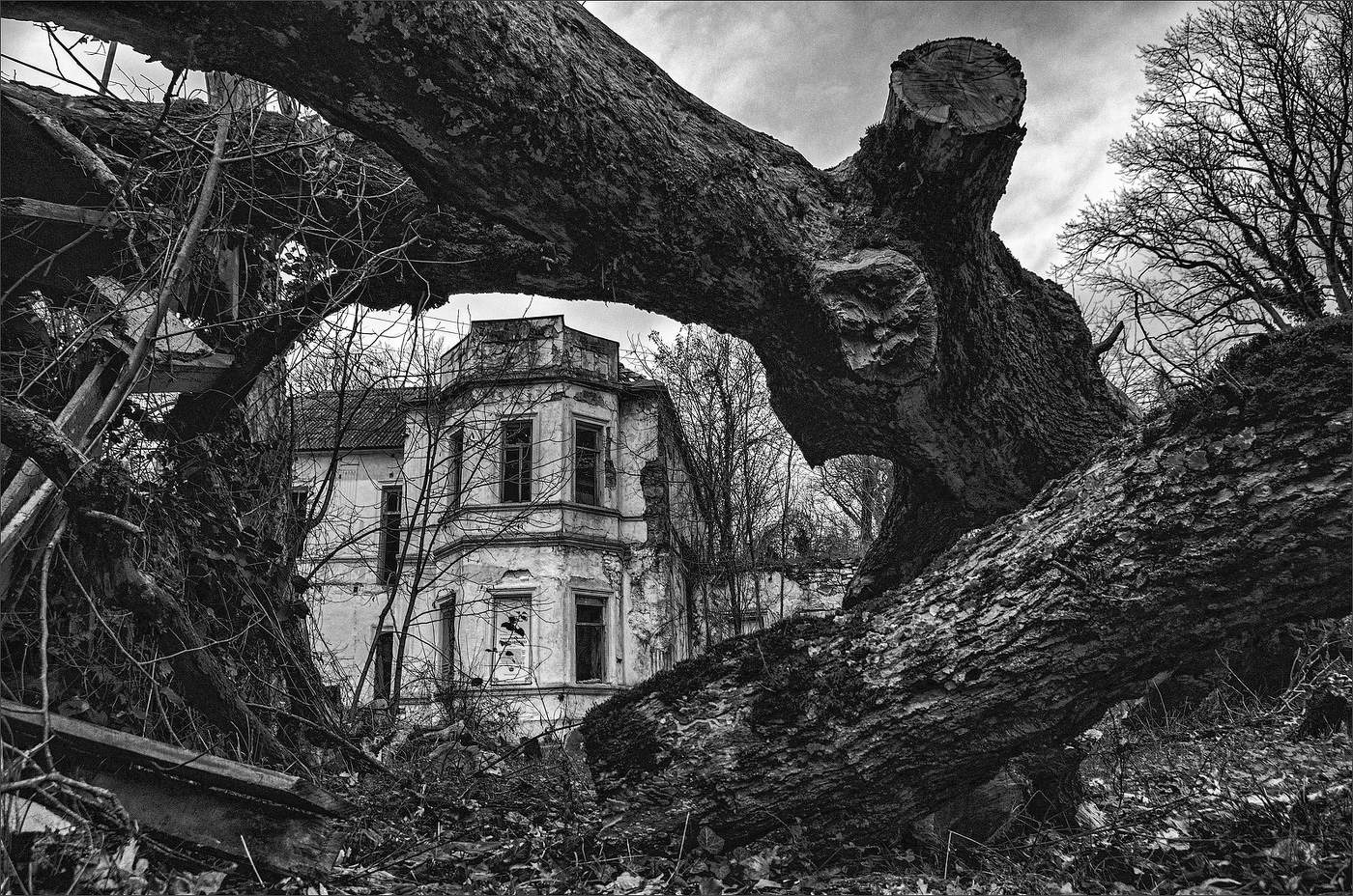 на мысе Бескровного...