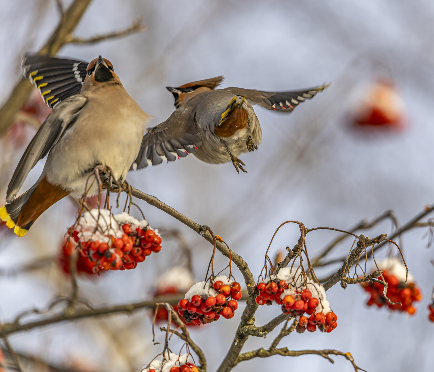 Свиристельские народные пляски !
