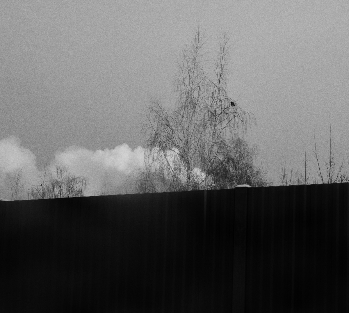 высота забора