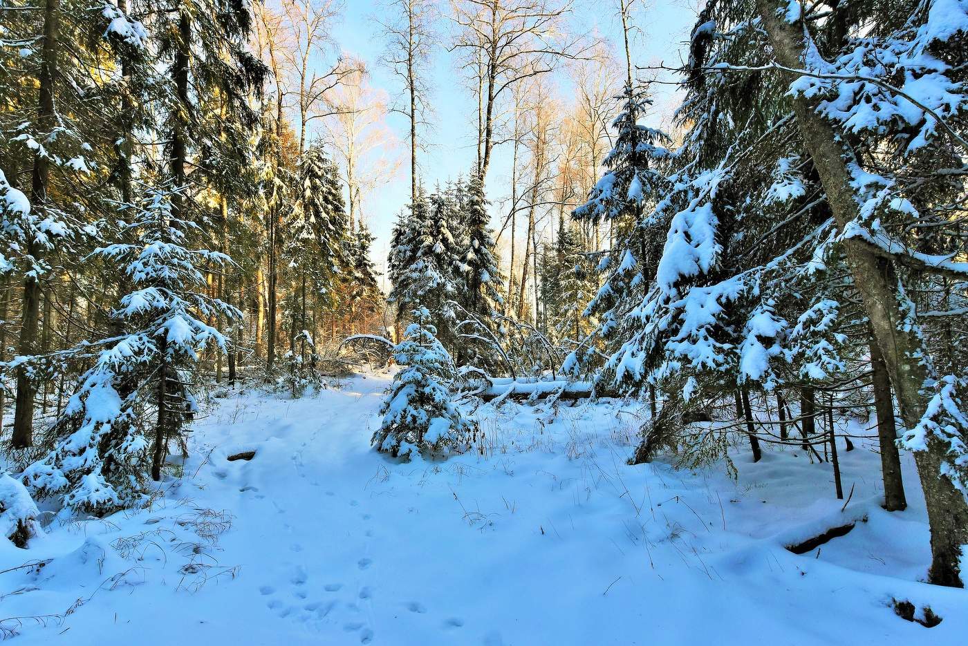 "Мне кажется, со мной играет кто-то ..."