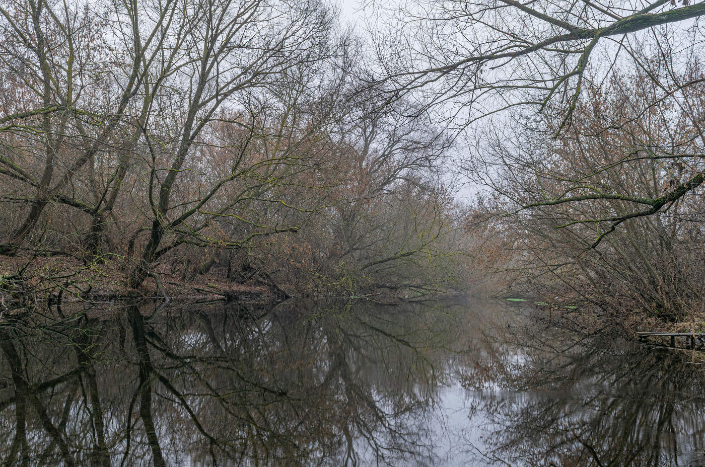 ещё без снега