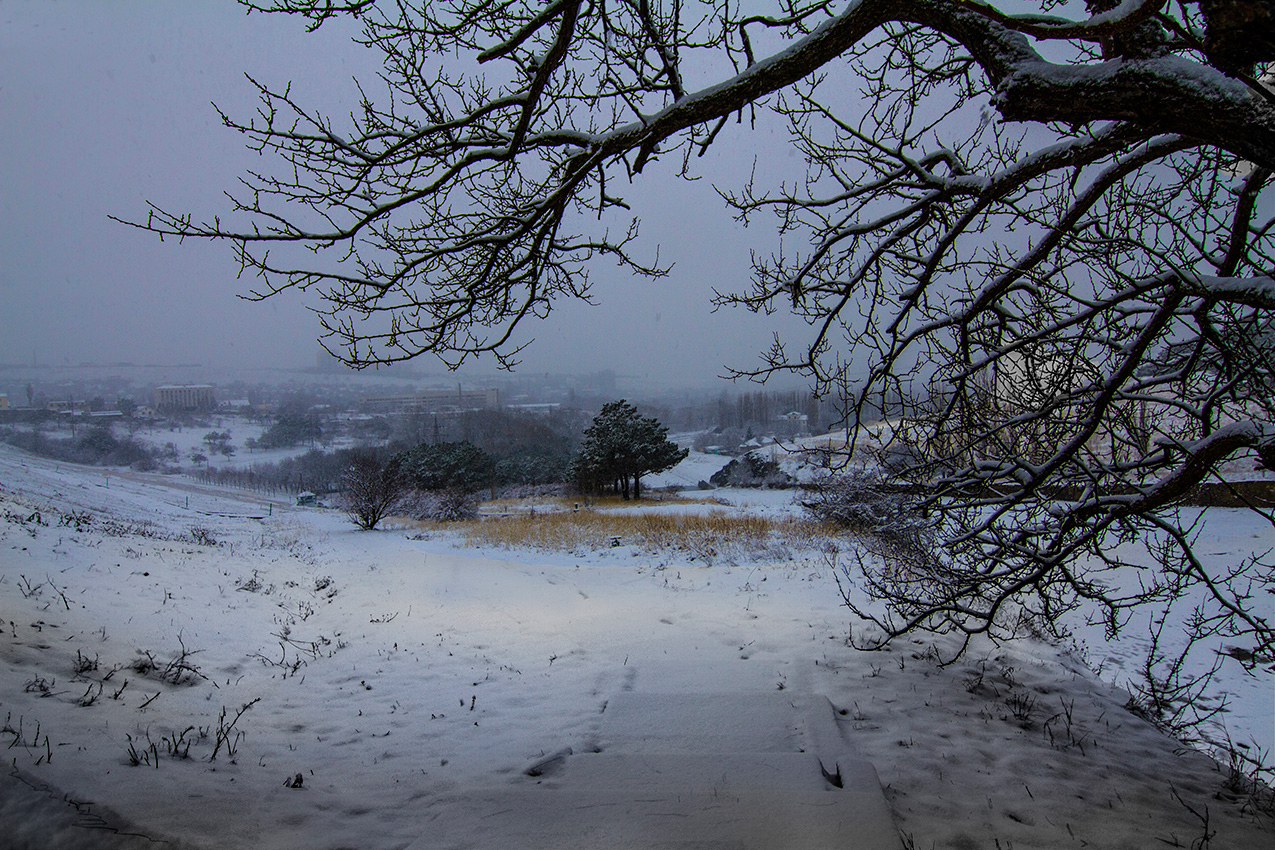 Зимняя прогулка