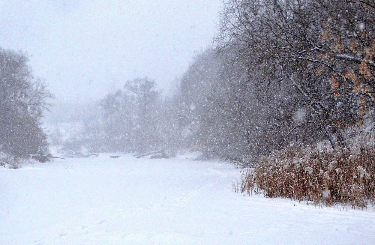 Заснежило, запуржило