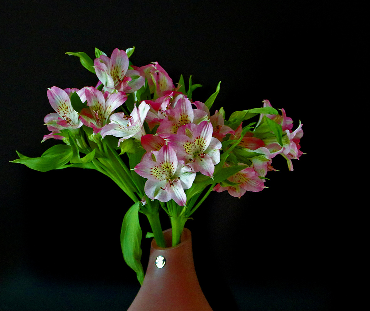 Зимний букетик