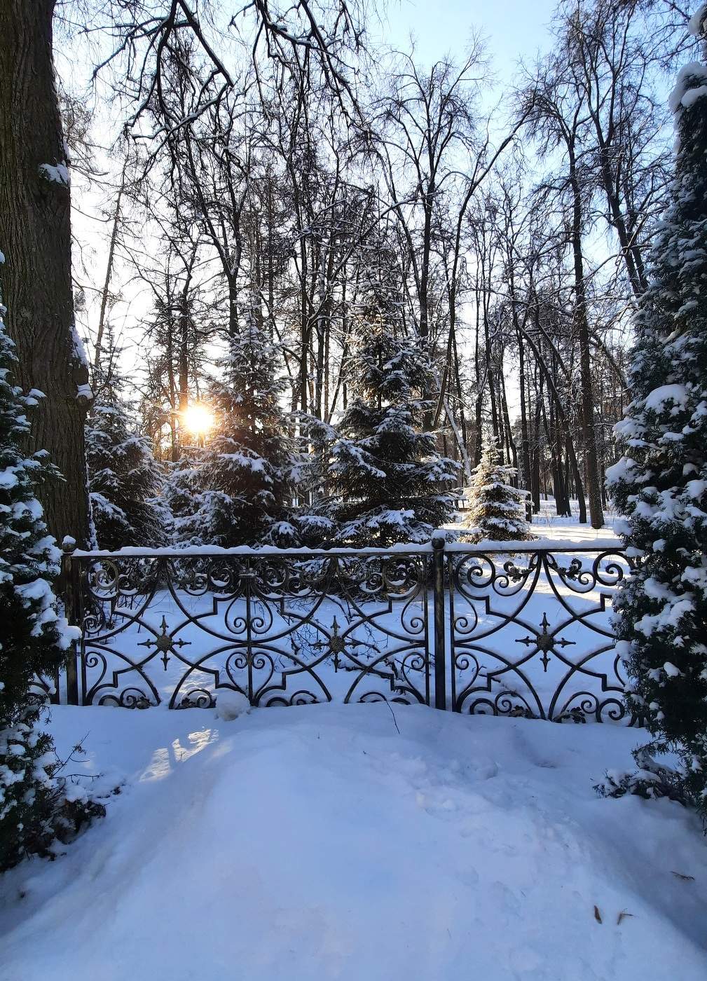 Зимний пейзаж!