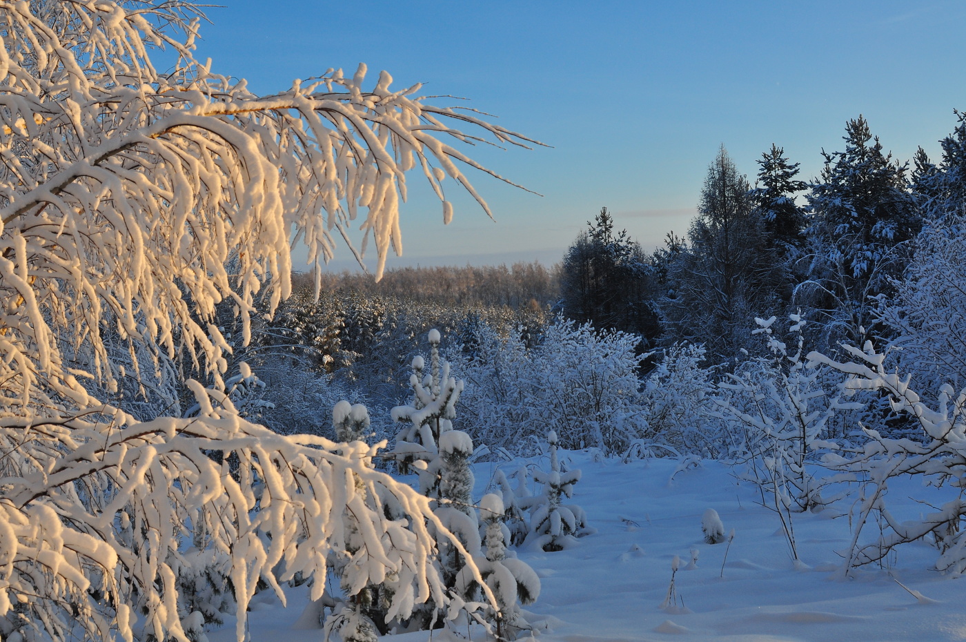 Зимний пейзаж.