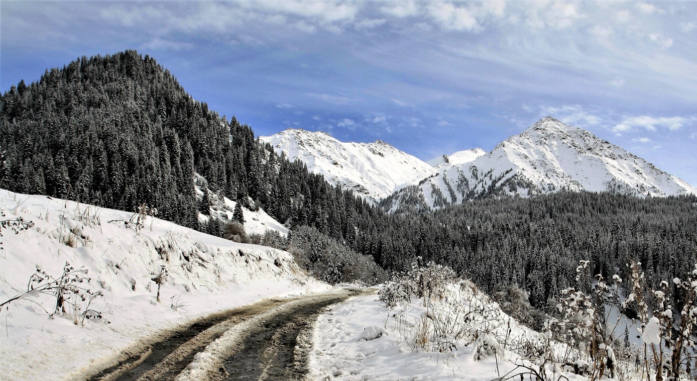 Горная дорога