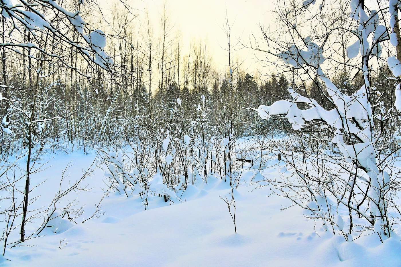 "Просто зима, полагаете вы? - Да, полагаю ..."