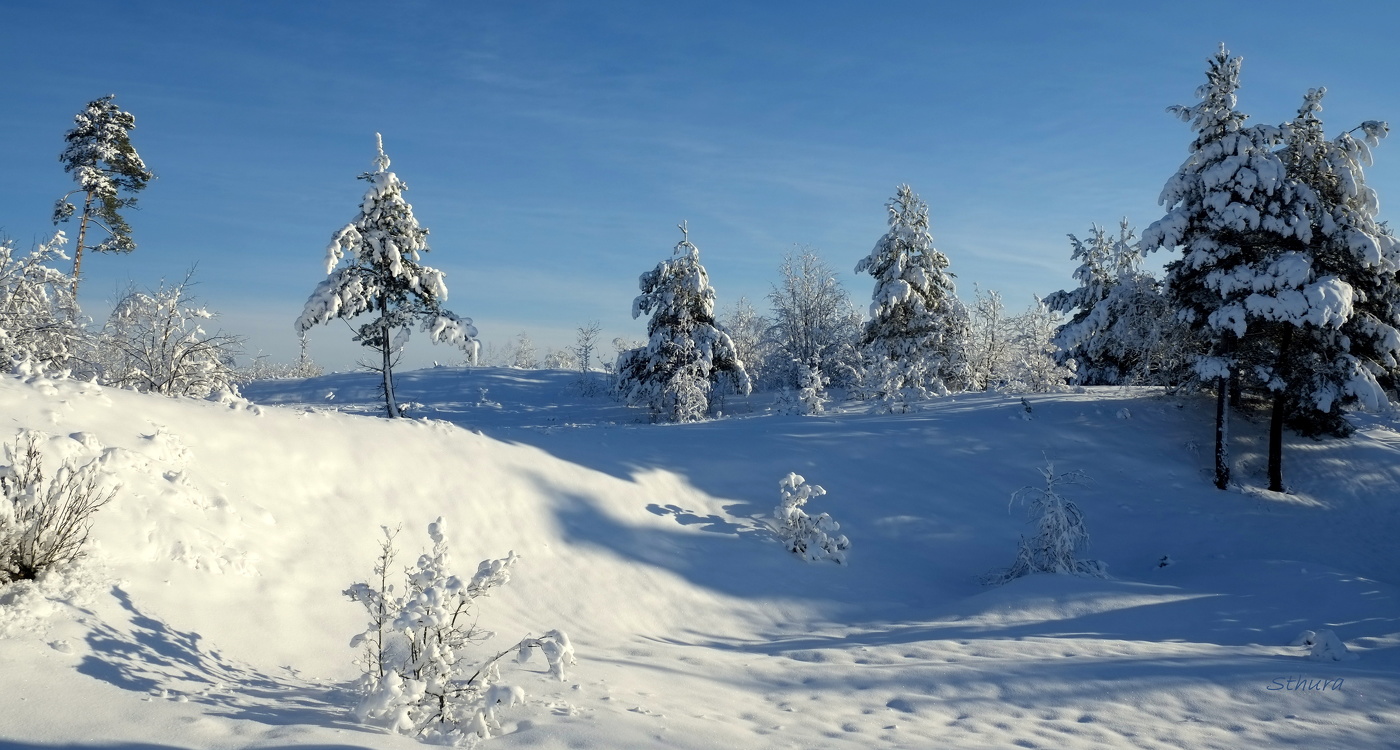 Зимний пейзаж.