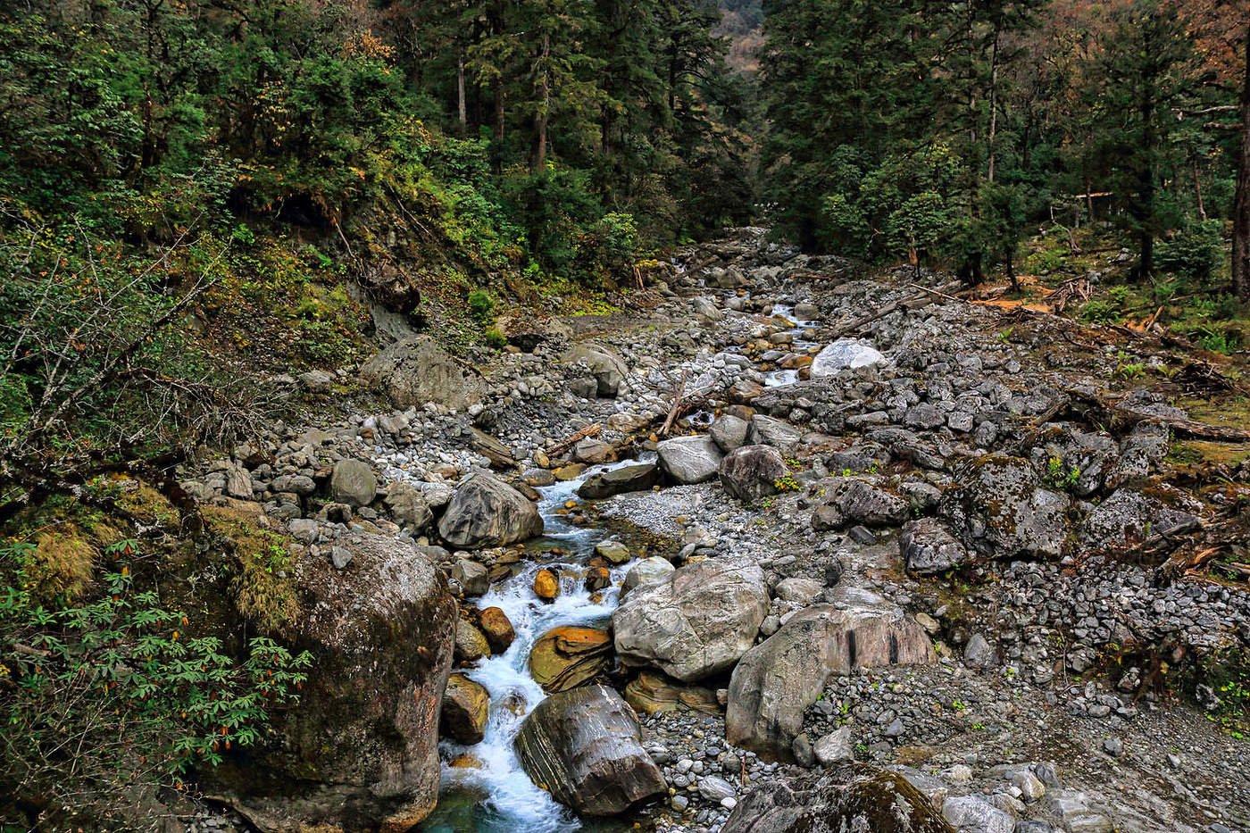 Где-то в Гималаях