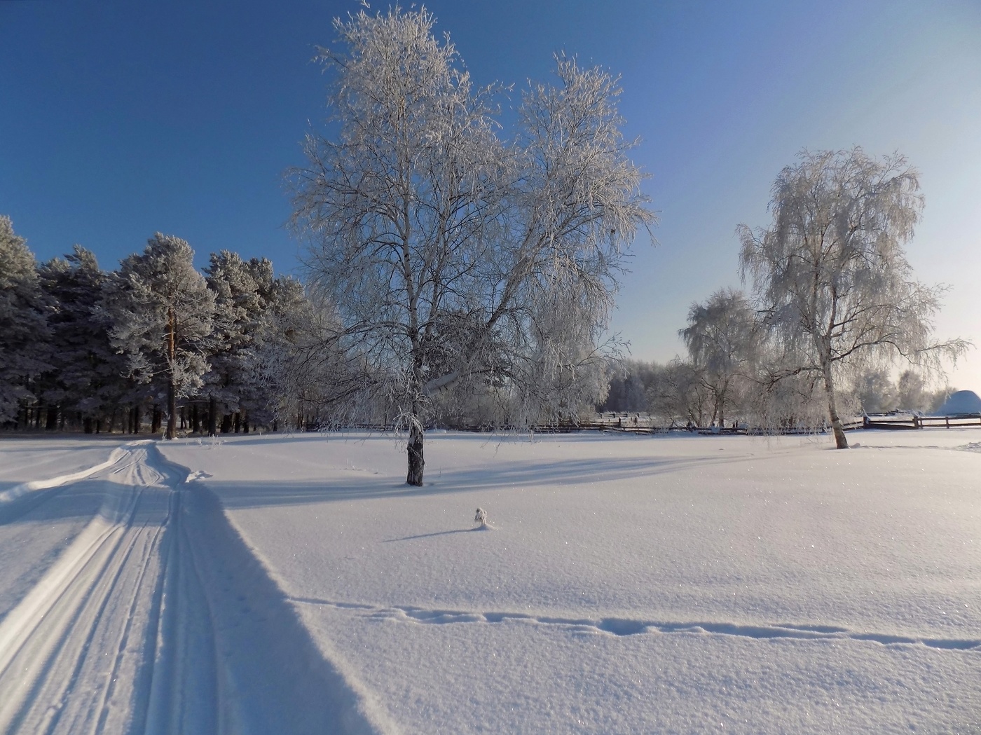 Сибирская морозная зима