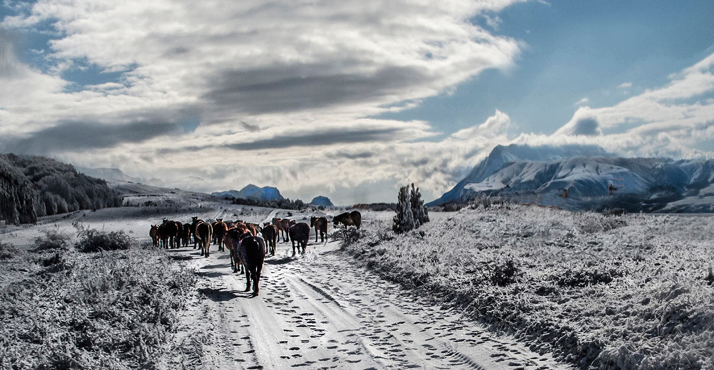 Зимняя картинка