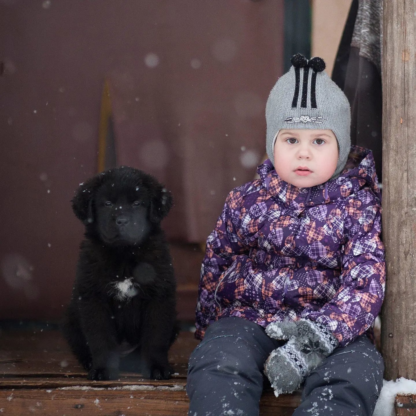 Друзья малыши