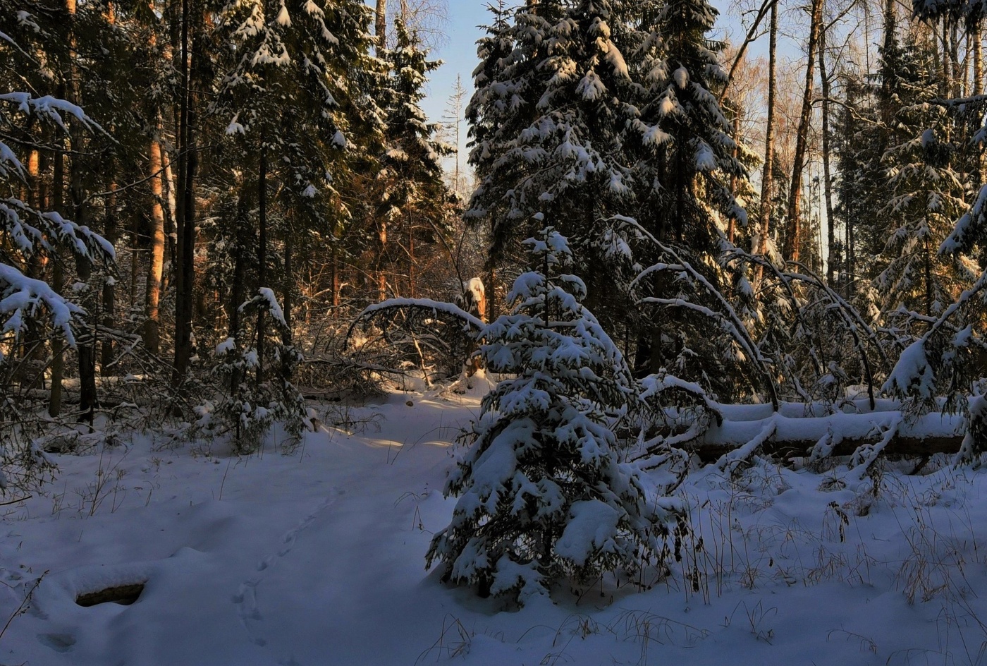 Вечерело ...