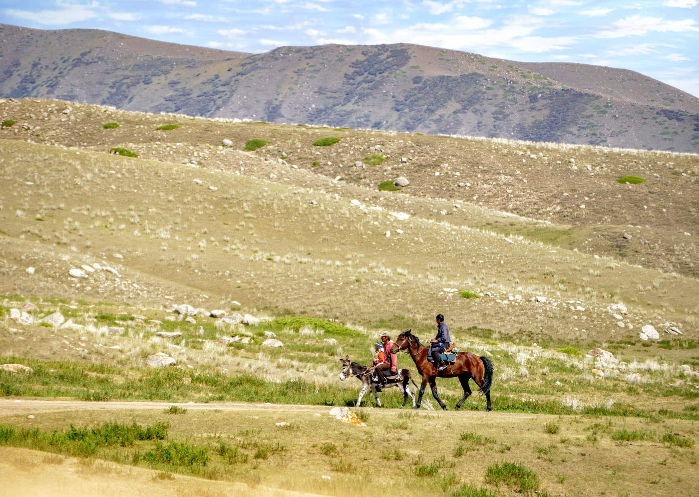 По мотивам "Дон Кихота"
