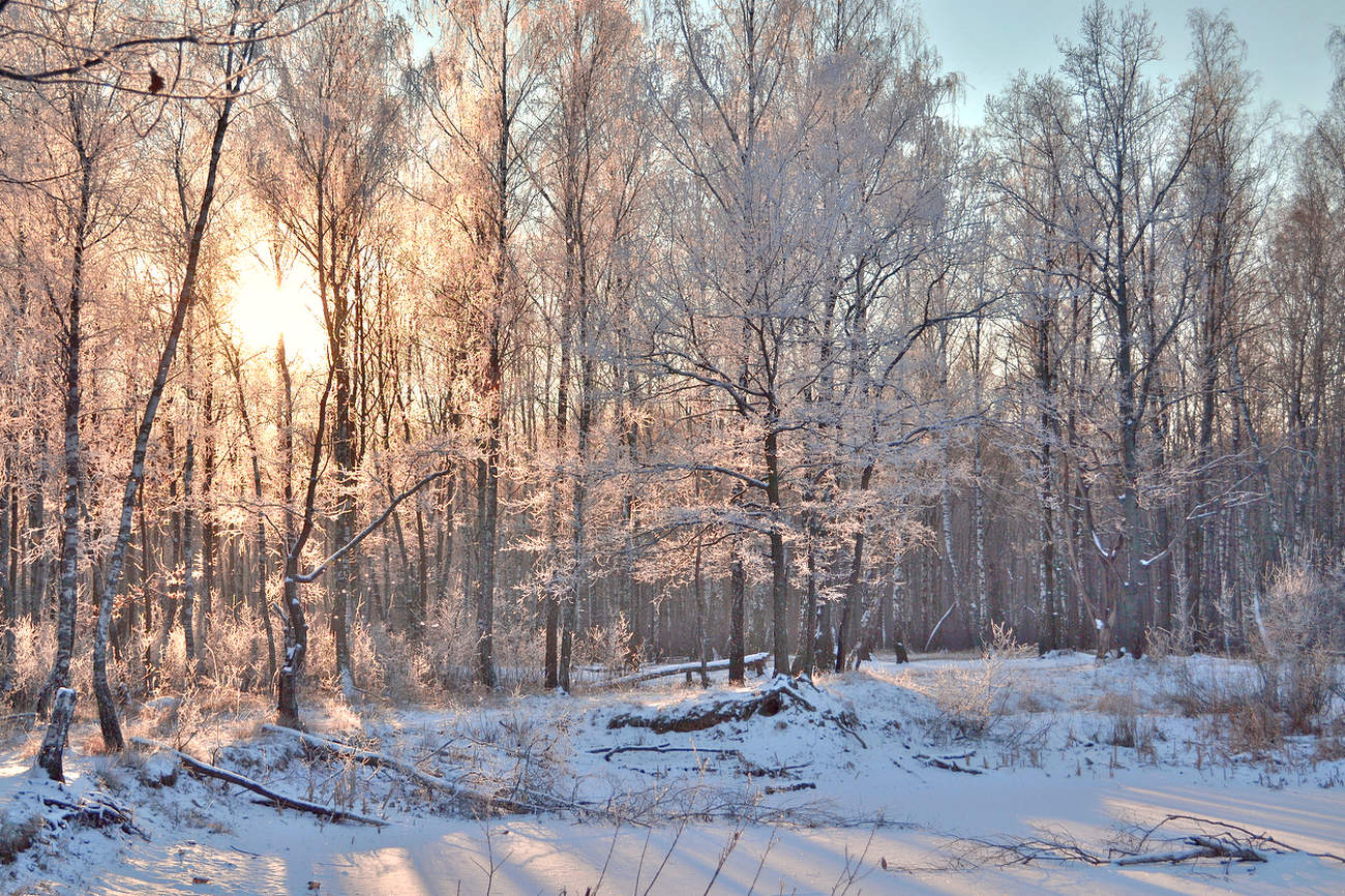 Красивый зимний вечер!