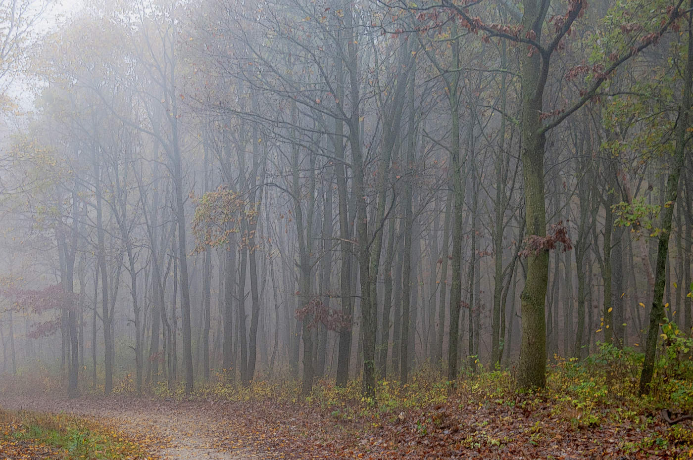 Там, в ноябре
