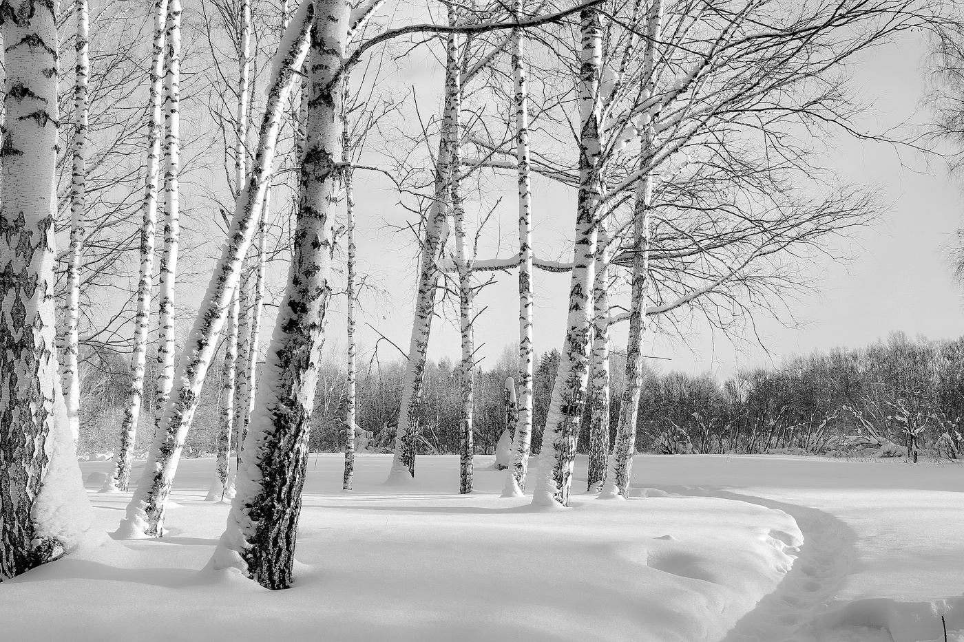 *Январским днём.**