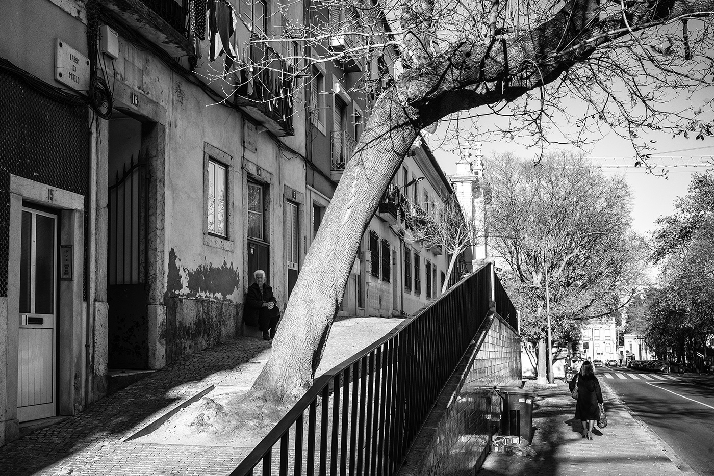 Бабушка под деревом