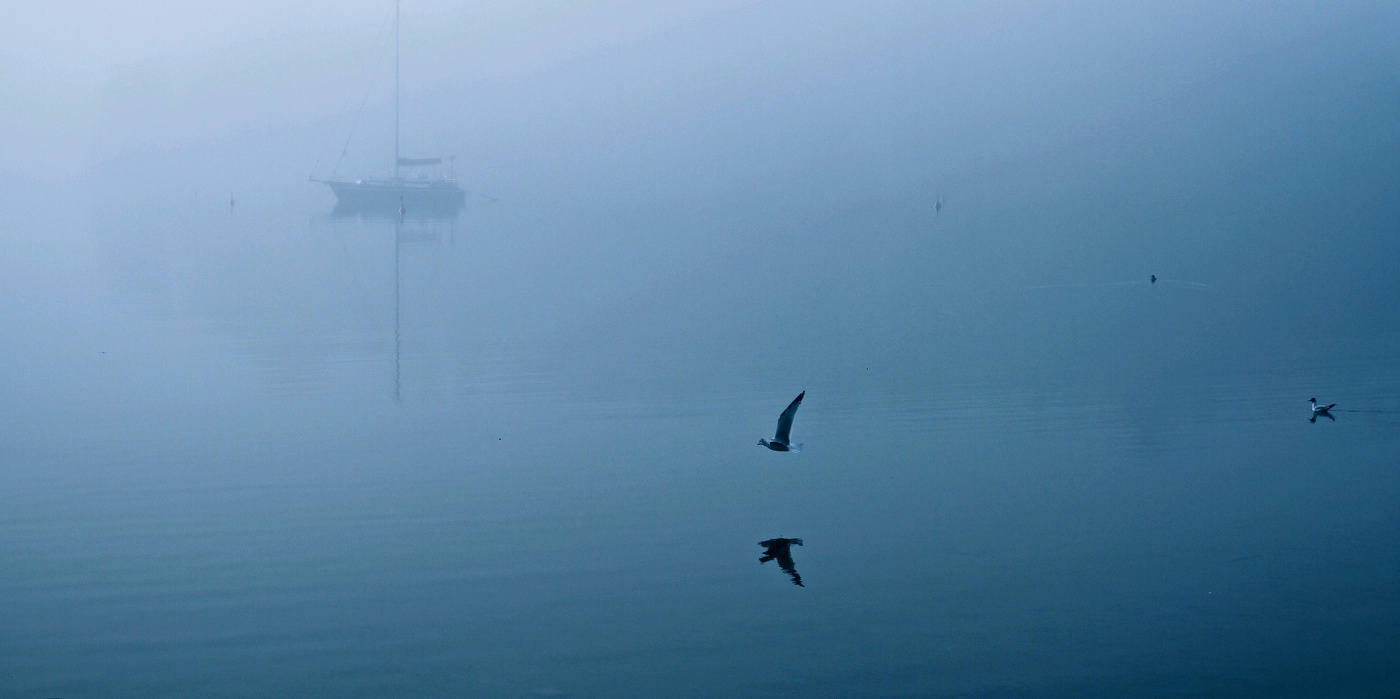 И в тишине... мелодия чайкиных крыл