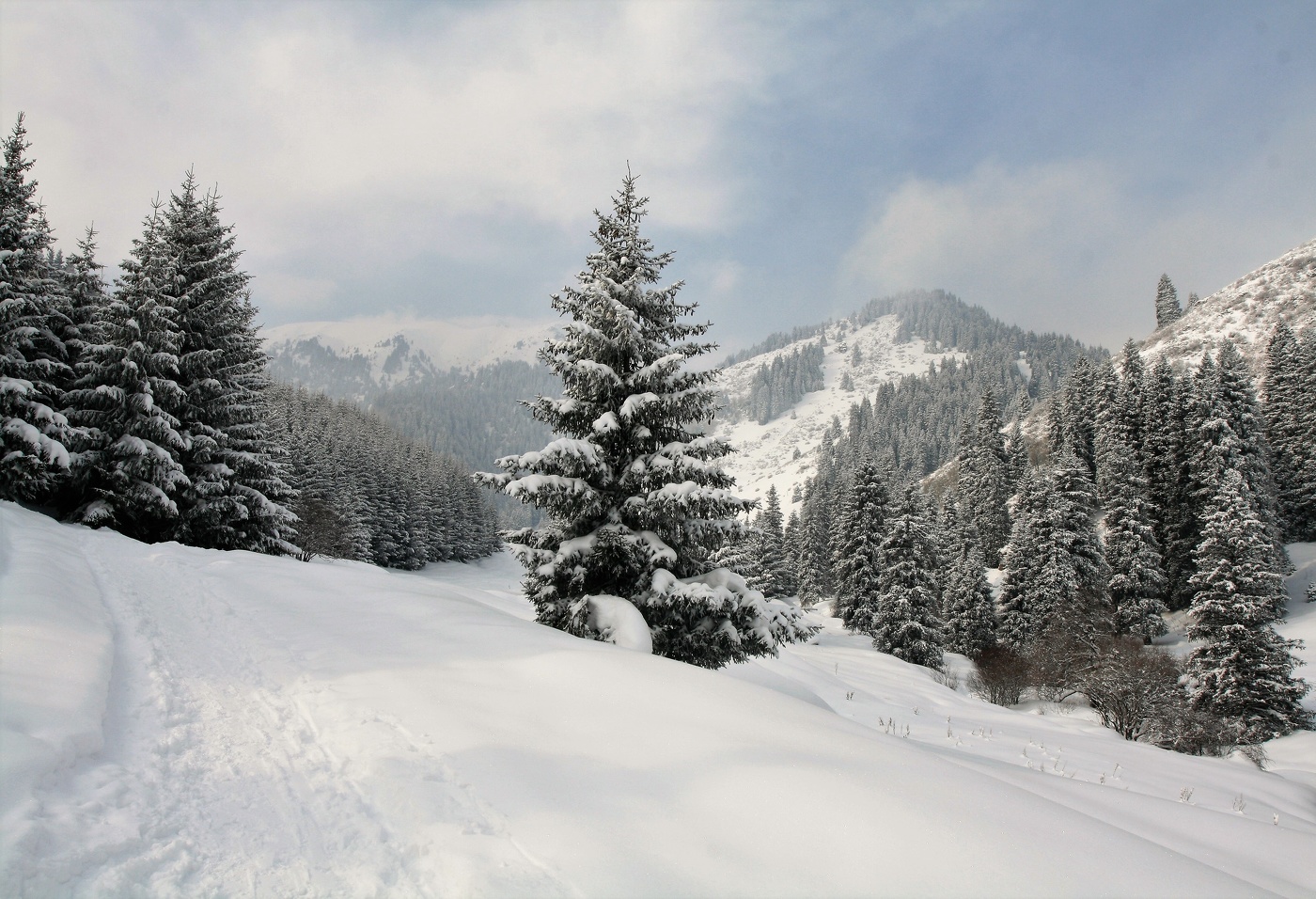 В горах Алматы