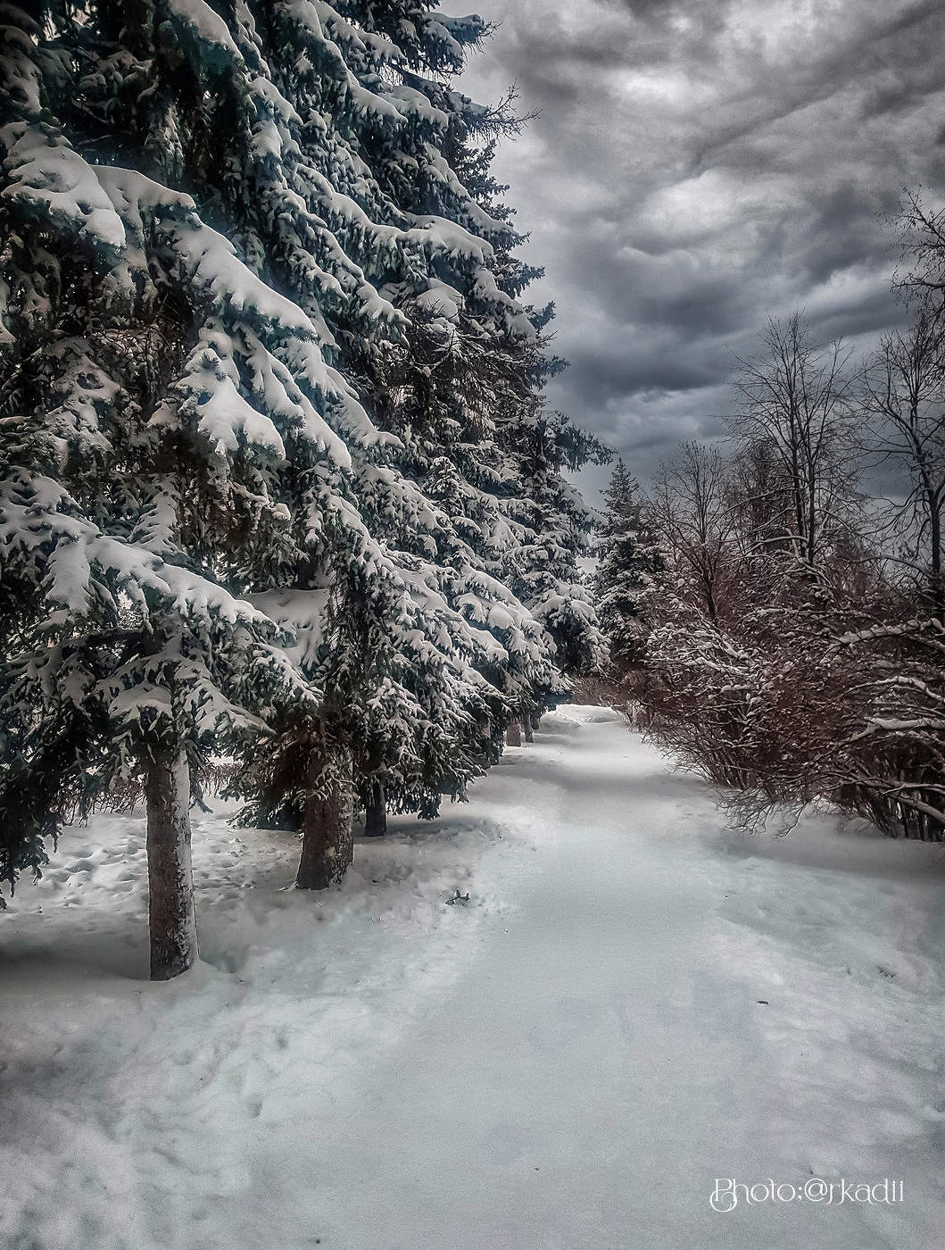 Зимний вечер. Снег да стужа...