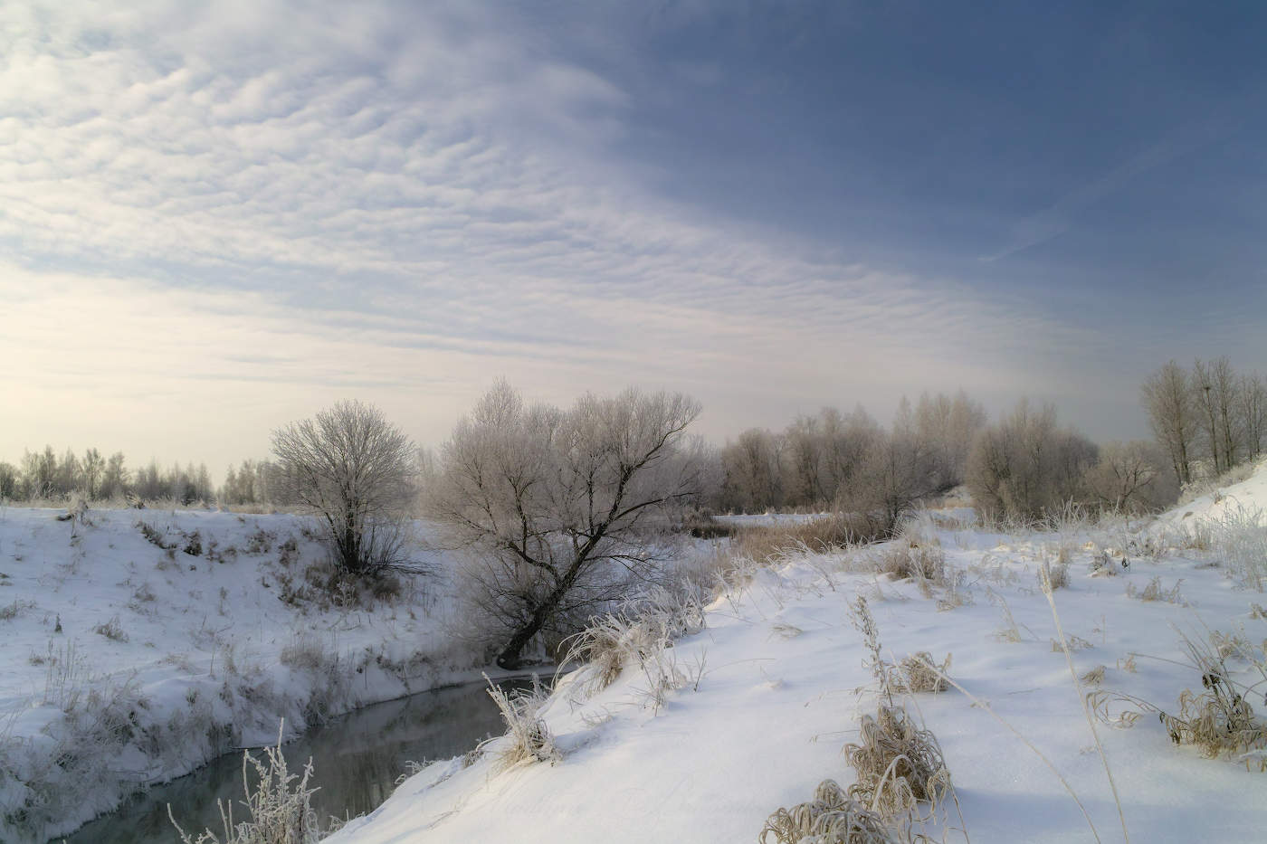 Зимнее утро