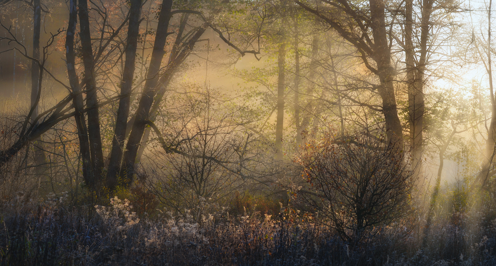 Осенний рассвет