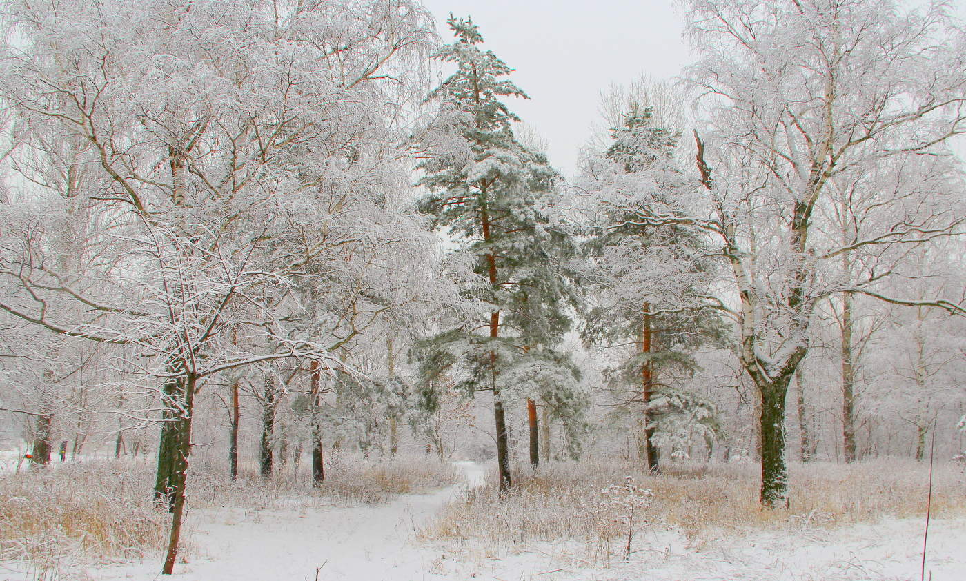 Зимний пейзаж!
