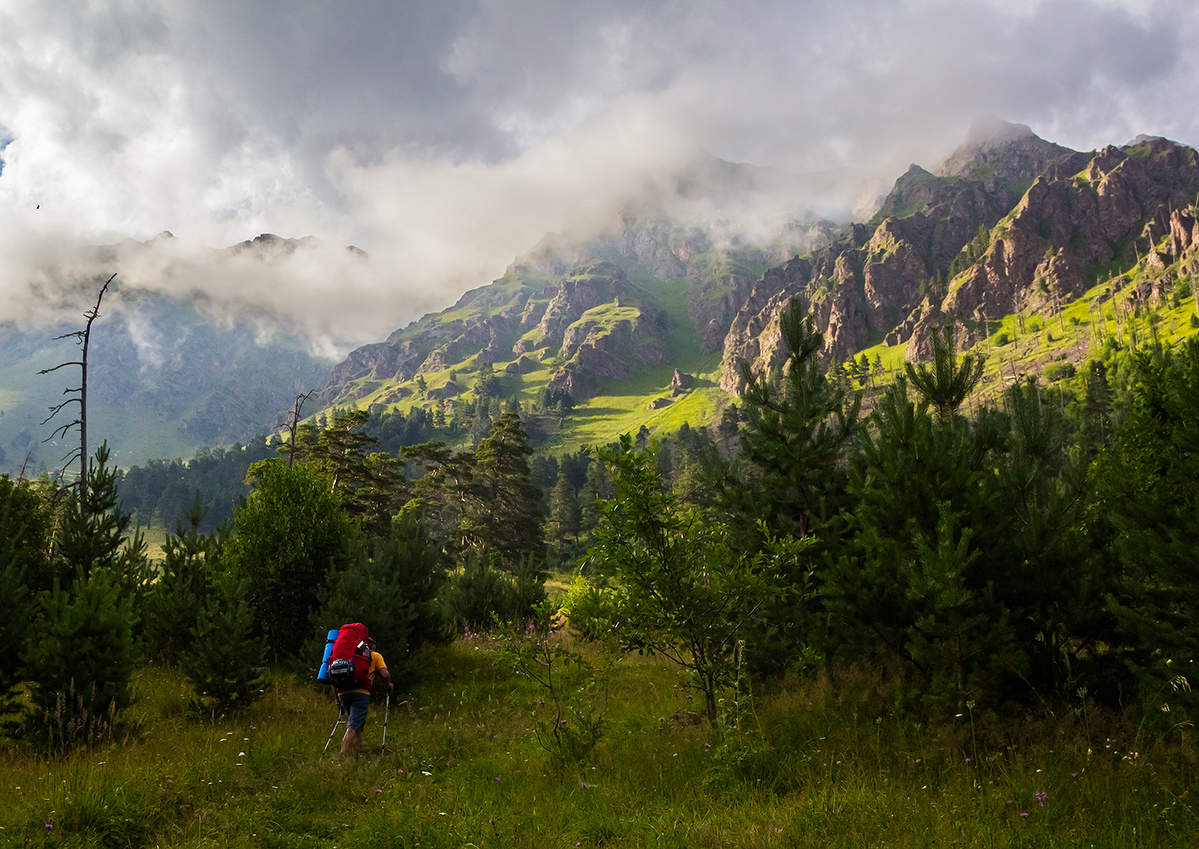 Направление