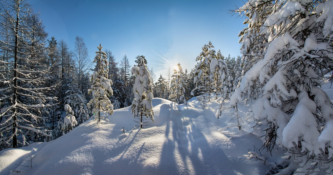 Зимняя панорама