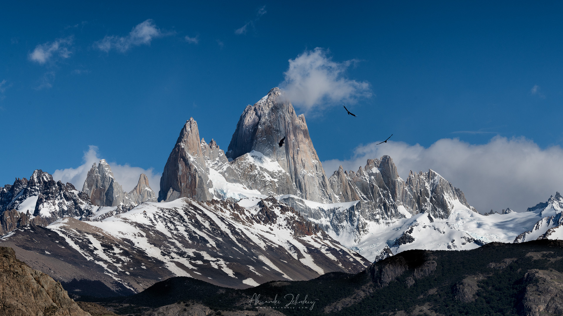 Полет кондора